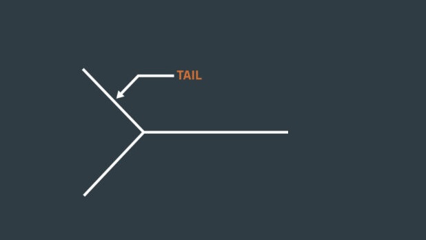 Tail